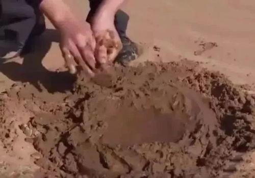 泥土视频,探寻自然之美，感受大地脉搏