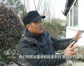 卢山视频,揭秘自然奇观背后的神秘力量