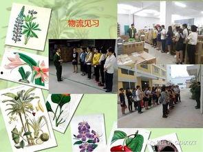 门店培训视频,提升服务技能，打造优质顾客体验