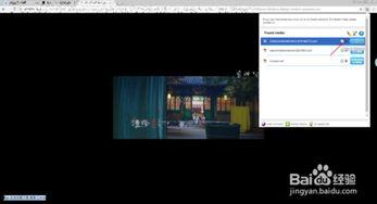 视频探嗅器,捕捉瞬间，洞察未来