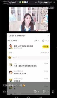 613视频,一场视觉与心灵的震撼之旅